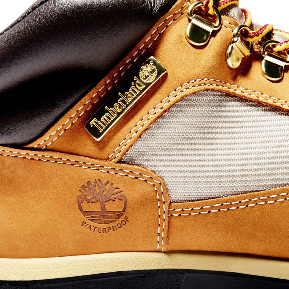 Zapatillas Timberland Hombre Waterproof Field Boots Marrones/Negras - Chile APD-019843